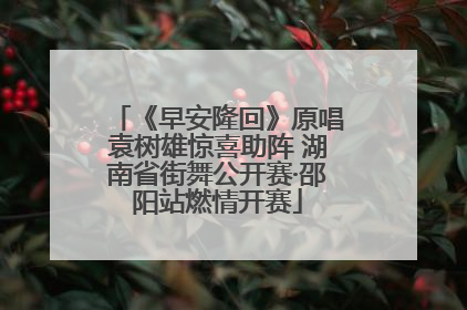 《早安隆回》原唱袁树雄惊喜助阵 湖南省街舞公开赛·邵阳站燃情开赛