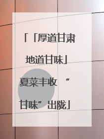 「厚道甘肃 地道甘味」夏菜丰收 “甘味”出陇