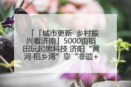 「城市更新· 乡村振兴看济南」5000亩稻田玩起黑科技 济阳“黄河·稻乡湾”靠“非遗+露营”火出圈