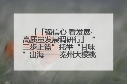「强信心 看发展·高质量发展调研行」“三步上篮”托举“甘味”出海——秦州大樱桃高质量发展动作分解