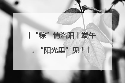 “粽”情洛阳丨端午，“阳光里”见！