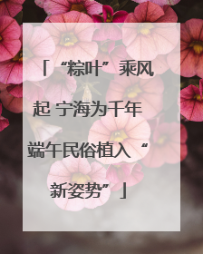 “粽叶”乘风起 宁海为千年端午民俗植入“新姿势”