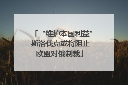 “维护本国利益” 斯洛伐克或将阻止欧盟对俄制裁