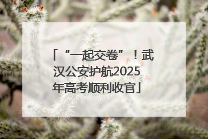 “一起交卷”！武汉公安护航2025年高考顺利收官