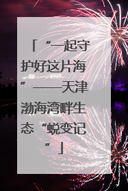 “一起守护好这片海”——天津渤海湾畔生态“蜕变记”