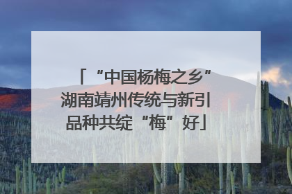 “中国杨梅之乡”湖南靖州传统与新引品种共绽“梅”好
