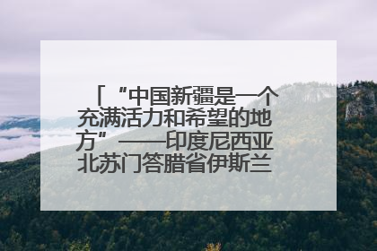 “中国新疆是一个充满活力和希望的地方”——印度尼西亚北苏门答腊省伊斯兰教代表团参访新疆