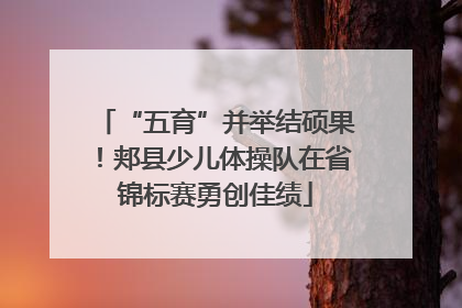 “五育”并举结硕果！郏县少儿体操队在省锦标赛勇创佳绩