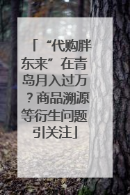 “代购胖东来”在青岛月入过万？商品溯源等衍生问题引关注