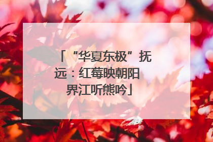 “华夏东极”抚远：红莓映朝阳 界江听熊吟