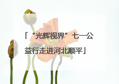 “光辉视界”七一公益行走进河北顺平