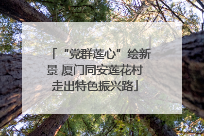 “党群莲心”绘新景 厦门同安莲花村走出特色振兴路