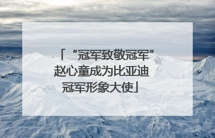 “冠军致敬冠军” 赵心童成为比亚迪冠军形象大使