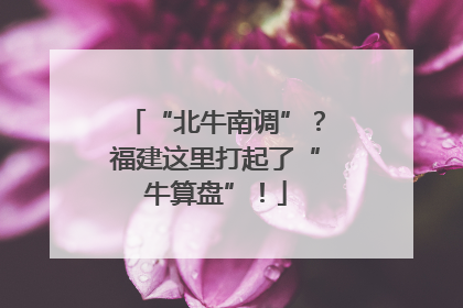 “北牛南调”？福建这里打起了“牛算盘”！