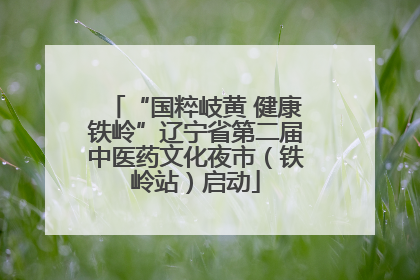 “国粹岐黄 健康铁岭”辽宁省第二届中医药文化夜市（铁岭站）启动