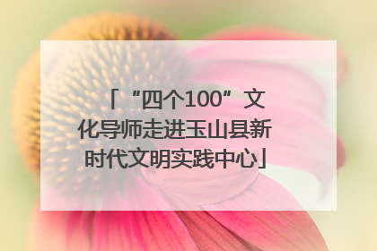 “四个100”文化导师走进玉山县新时代文明实践中心