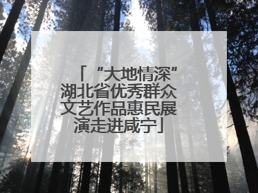 “大地情深”湖北省优秀群众文艺作品惠民展演走进咸宁
