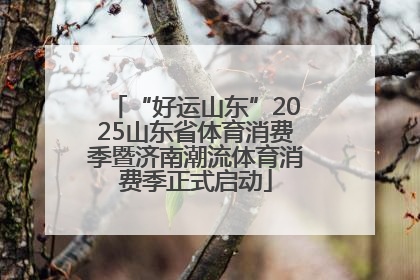 “好运山东”2025山东省体育消费季暨济南潮流体育消费季正式启动