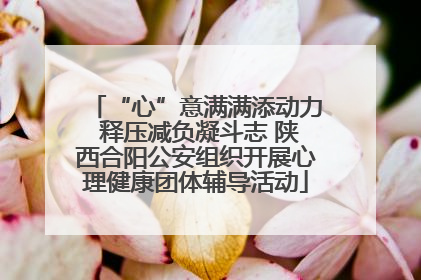 “心”意满满添动力 释压减负凝斗志 陕西合阳公安组织开展心理健康团体辅导活动