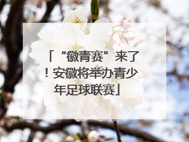 “徽青赛”来了！安徽将举办青少年足球联赛