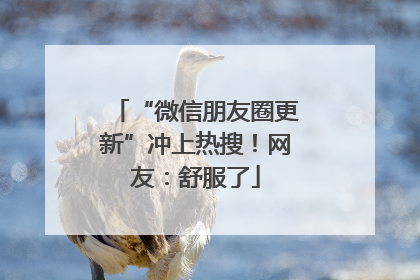 “微信朋友圈更新”冲上热搜！网友：舒服了
