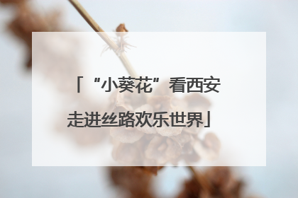 “小葵花”看西安走进丝路欢乐世界