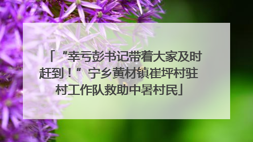 “幸亏彭书记带着大家及时赶到！”宁乡黄材镇崔坪村驻村工作队救助中暑村民
