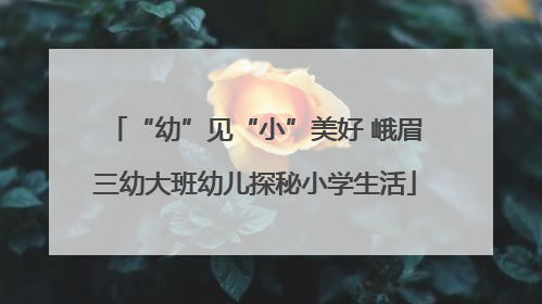 “幼”见“小”美好 峨眉三幼大班幼儿探秘小学生活