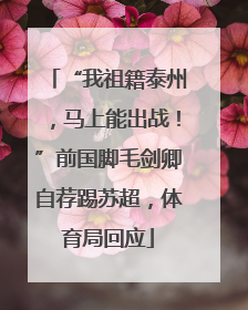 “我祖籍泰州，马上能出战！”前国脚毛剑卿自荐踢苏超，体育局回应