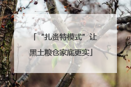 “扎赉特模式”让黑土粮仓家底更实
