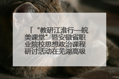 “教研江淮行—皖美课堂”暨安徽省职业院校思想政治课程研讨活动在芜湖高级职业技术学校举行