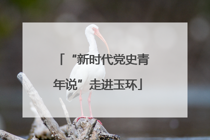 “新时代党史青年说”走进玉环
