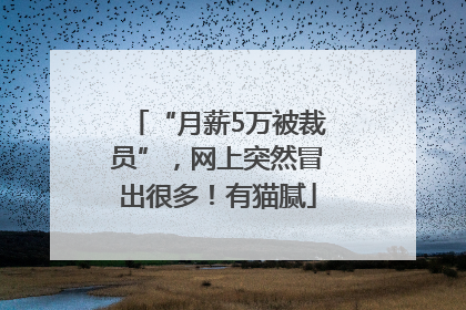 “月薪5万被裁员”，网上突然冒出很多！有猫腻