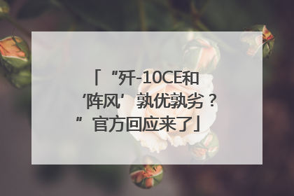 “歼-10CE和‘阵风’孰优孰劣？”官方回应来了