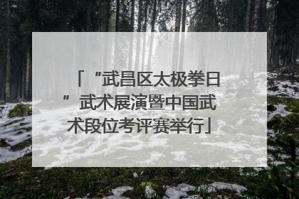 “武昌区太极拳日”武术展演暨中国武术段位考评赛举行