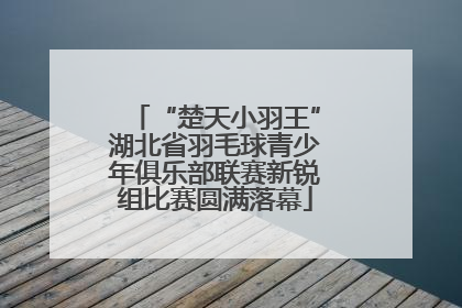 “楚天小羽王”湖北省羽毛球青少年俱乐部联赛新锐组比赛圆满落幕