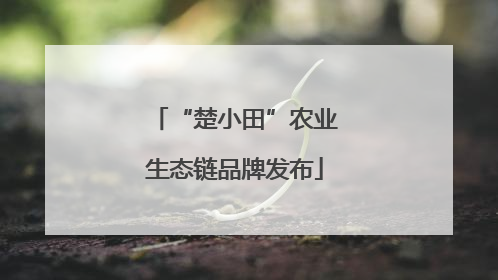 “楚小田”农业生态链品牌发布