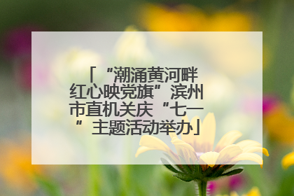 “潮涌黄河畔 红心映党旗”滨州市直机关庆“七一”主题活动举办