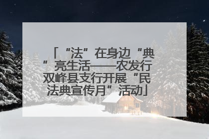 “法”在身边“典”亮生活——农发行双峰县支行开展“民法典宣传月”活动