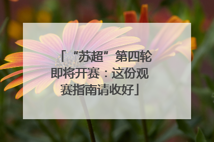 “苏超”第四轮即将开赛：这份观赛指南请收好