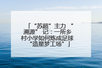 “苏超”主力 “溯源” 记：一所乡村小学如何炼成足球 “造星梦工场”