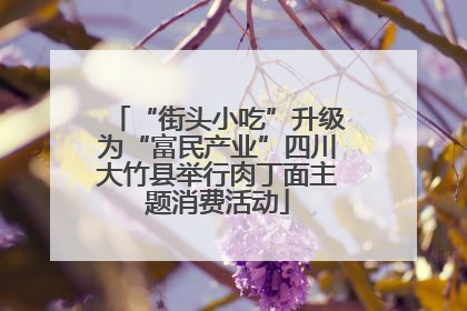 “街头小吃”升级为“富民产业”四川大竹县举行肉丁面主题消费活动