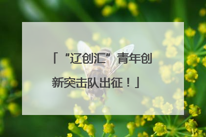 “辽创汇”青年创新突击队出征！