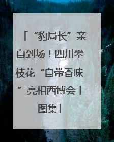 “豹局长”亲自到场！四川攀枝花“自带香味”亮相西博会丨图集