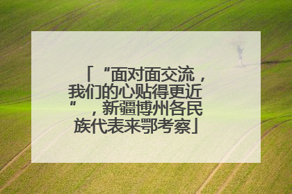 “面对面交流，我们的心贴得更近”，新疆博州各民族代表来鄂考察
