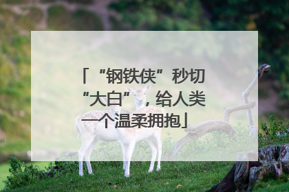 “钢铁侠”秒切“大白”，给人类一个温柔拥抱
