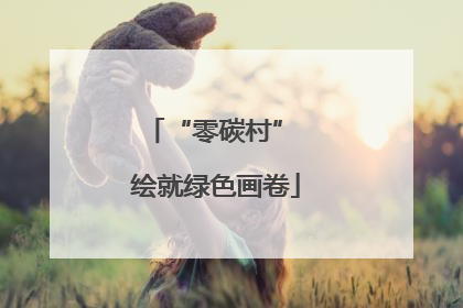 “零碳村” 绘就绿色画卷
