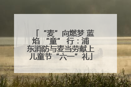 “麦”向燃梦 蓝焰 “童” 行：浦东消防与麦当劳献上儿童节“六一”礼