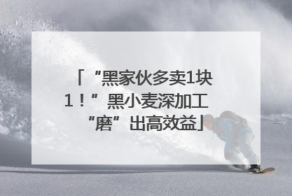 “黑家伙多卖1块1！”黑小麦深加工“磨”出高效益