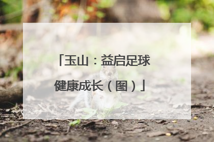 玉山：益启足球 健康成长（图）